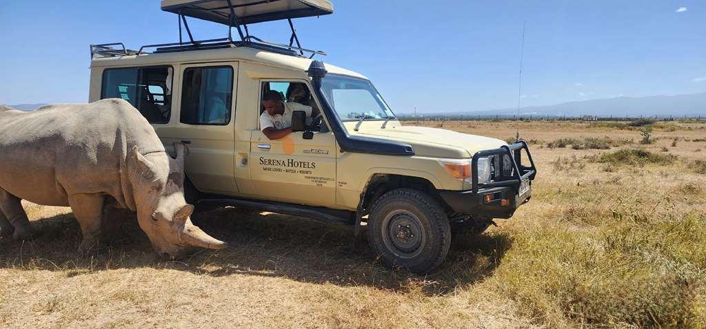 נאניוקי Sweetwaters Serena Camp מתקנים תמונה