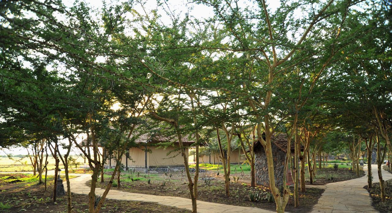 נאניוקי Sweetwaters Serena Camp מראה חיצוני תמונה